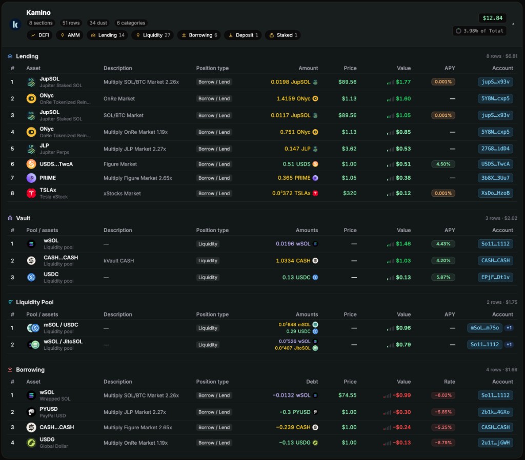 DeFi protocol detail view showing lending, vault, liquidity pool, and borrowing positions