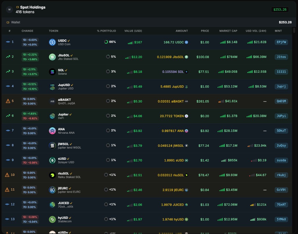 Wallet positions detail table showing token amounts, prices, market caps, and 24 hour values